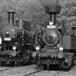Trocha historie