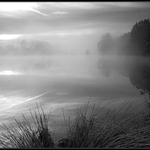 Surovost podzimního rána I.