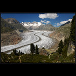 Aletschgletscher