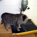 Trudy chce být také známá a skvělá fotografka; už si pořídila zvětšovák a Velkou knihu fotografie od Johna Hedgecoea