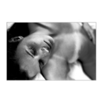 skeče z dovolky II.