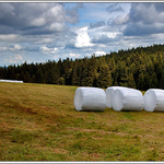 nástup k balíkové bitvě