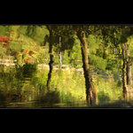 ..impression of the water..