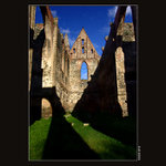 Ráno v Dolních Kounicích