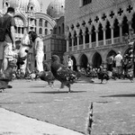 ++ MASTERS OF VENEZIA ++