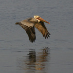 ++ Já si létám,já se vznáším..++