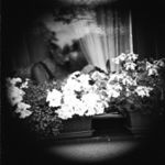 moje nepatrná maminka