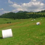 Sedlo Besnik