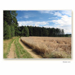 <b>Krásy Jihočeské I.</b>