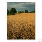 Krásy Jihočeské II.