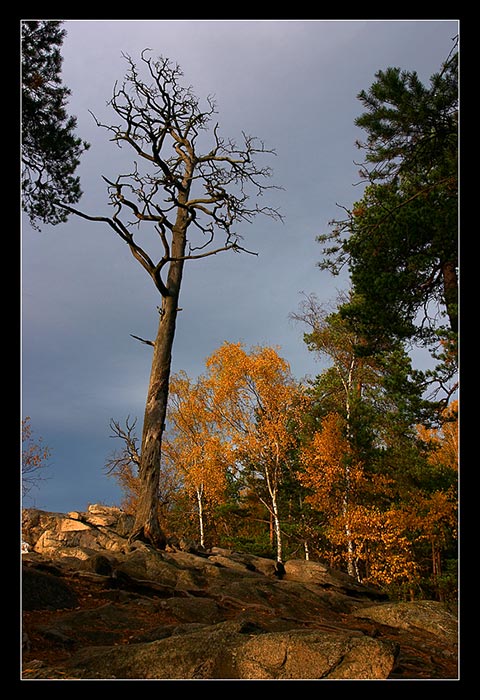 Čertovka