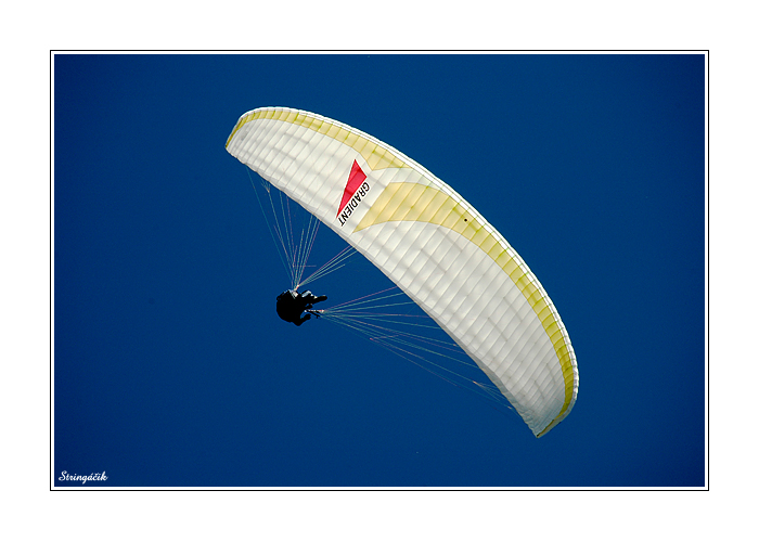 <B><U>... leť ... </B></U>