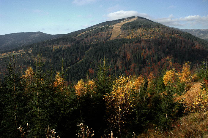Medvědín (podzim)