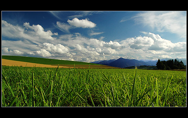 Nízké tatry skrz komprimovanou trávu