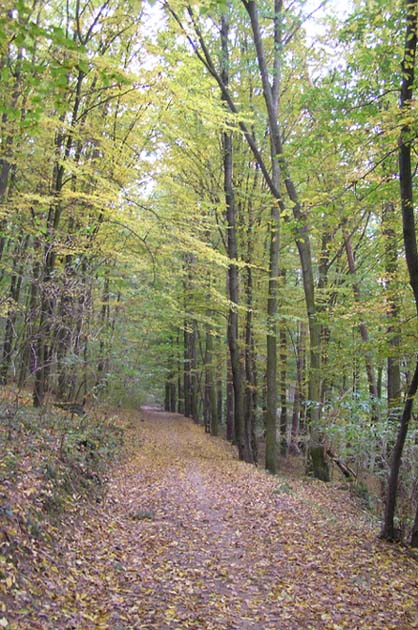 na trase Tišnovské 50 - T7