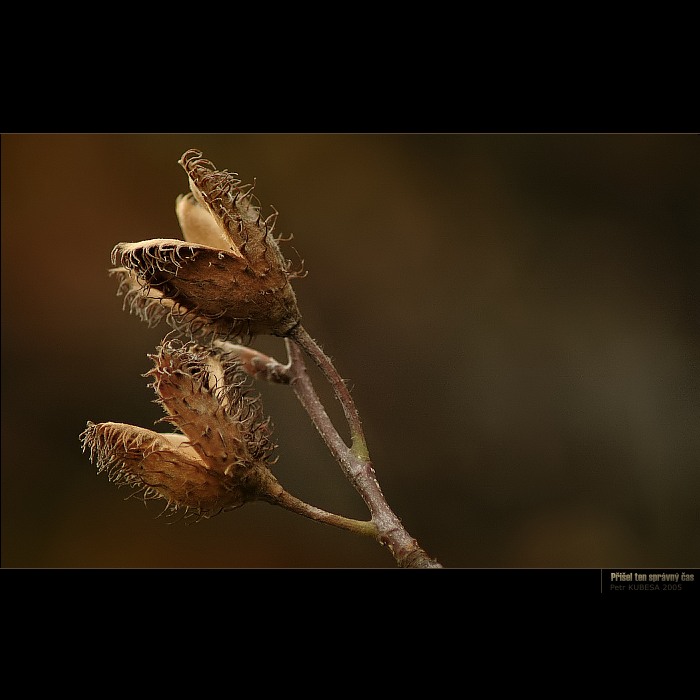 Přišel ten správný čas...