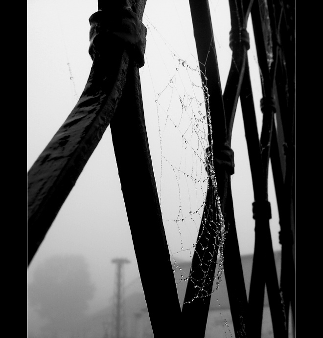 Za branou III