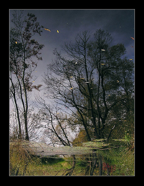 .dream land.