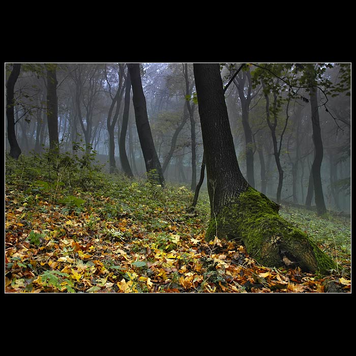 <b>Prechádzka jeseňou