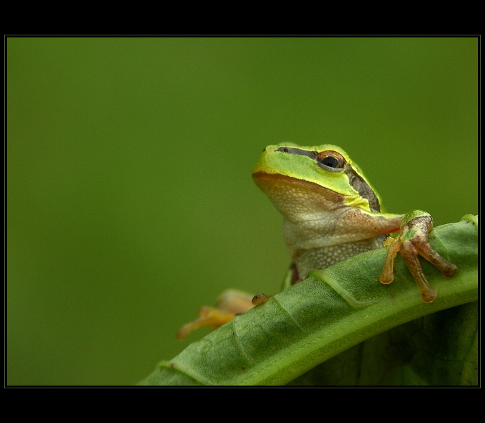Mě žádný Photopost nezajímá !