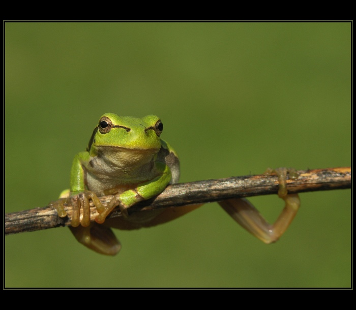 Přemet ? Tsss, levou zadní ...