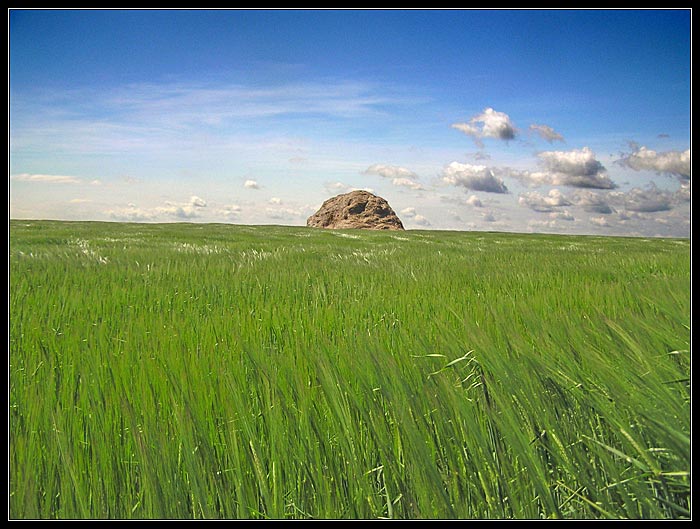 nostalgia za letom..