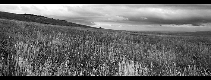 Ménez-Hom