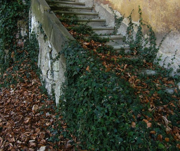 Na starých zámeckých schodech