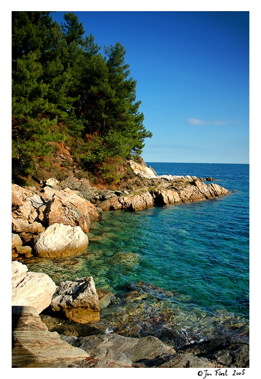 Thassos V