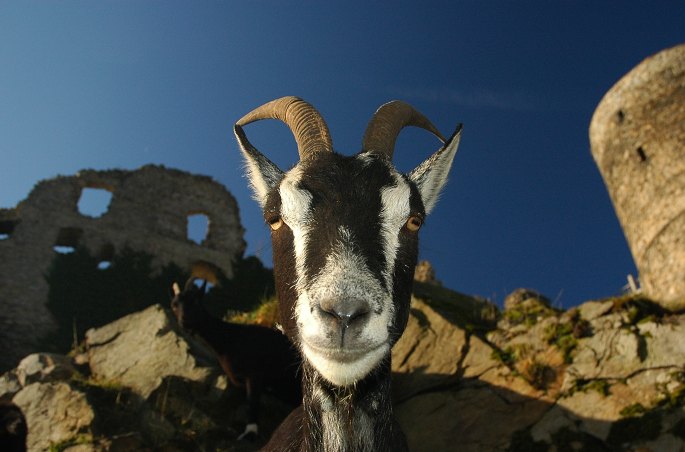 Vítejte v mém království