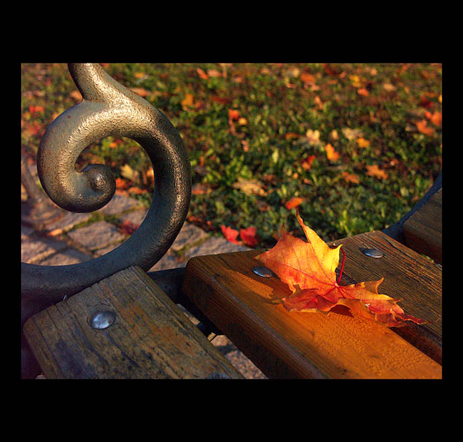 Fall