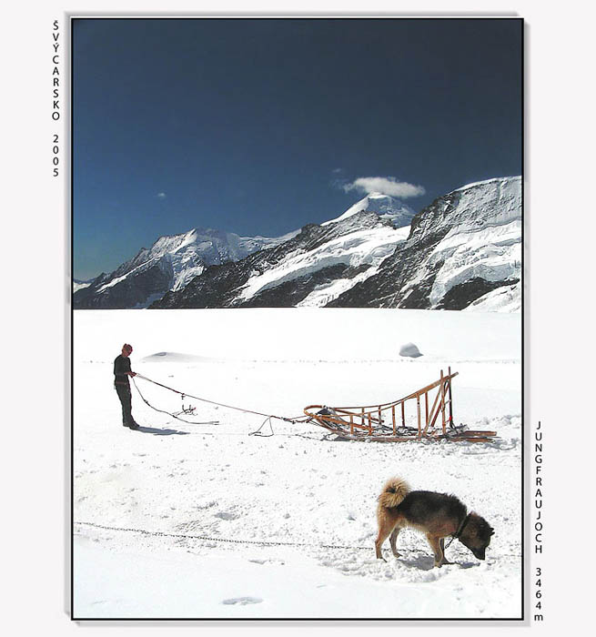 Život na Jungfraujoch