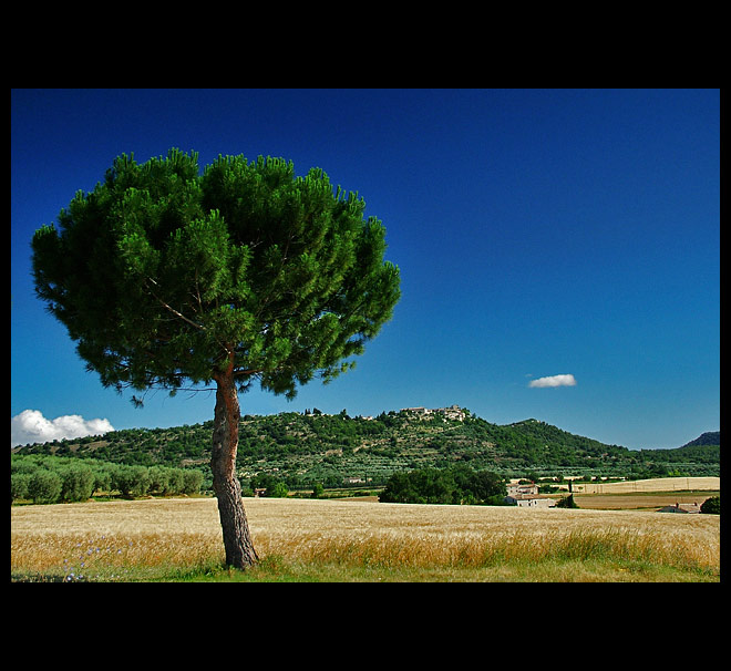 Letní Provence
