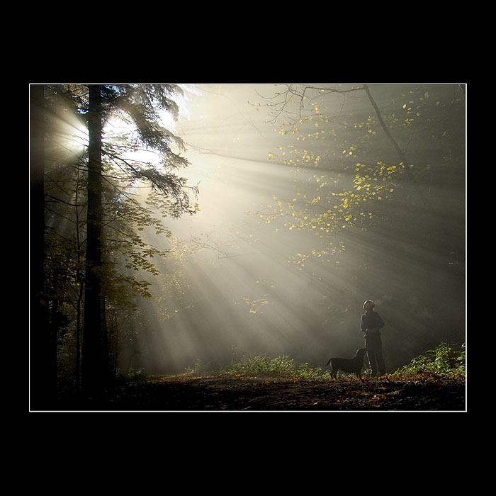 <b>...:::another world I.:::...</b>