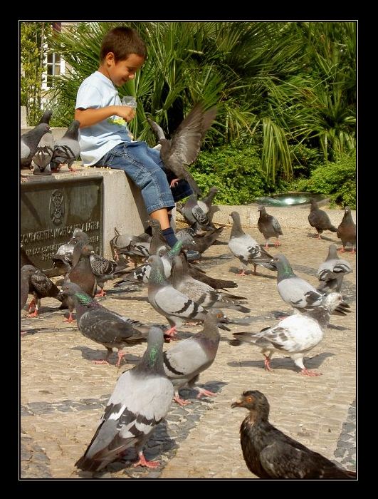 Porto nedělní II