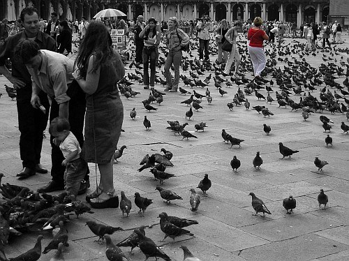Venezia