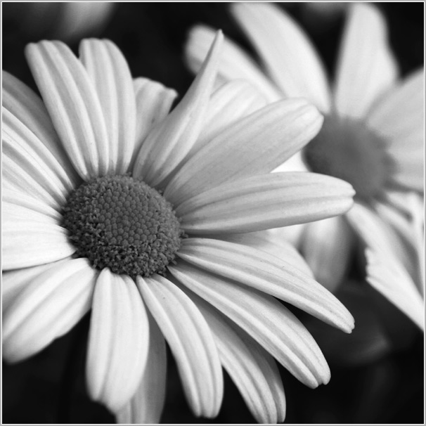 bw