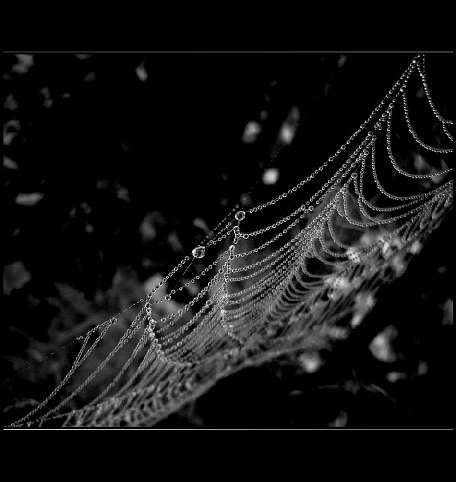 <b>.:Síť z perel:.</b>