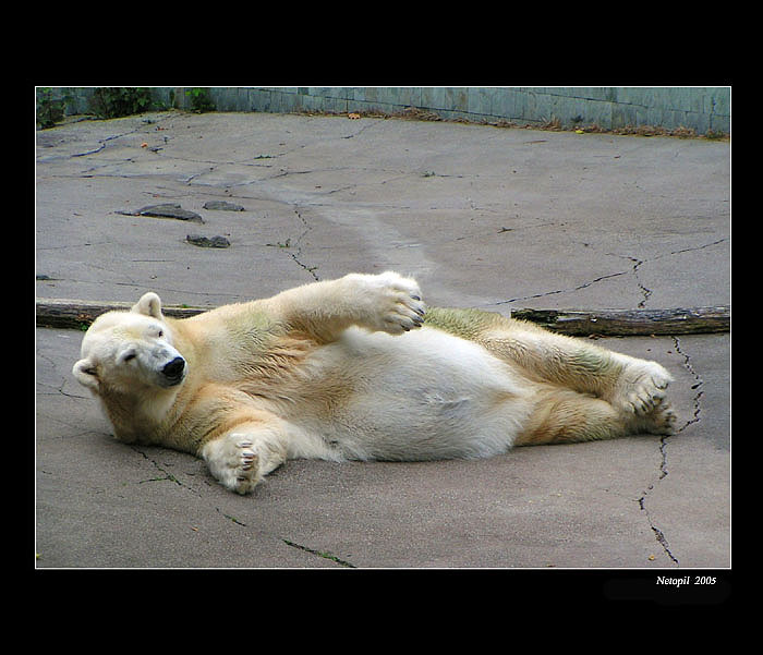 RELAX