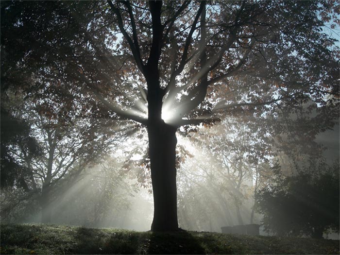 -= Zrozeni noveho dne =-