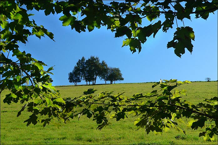 Zelenomodrá krajina II