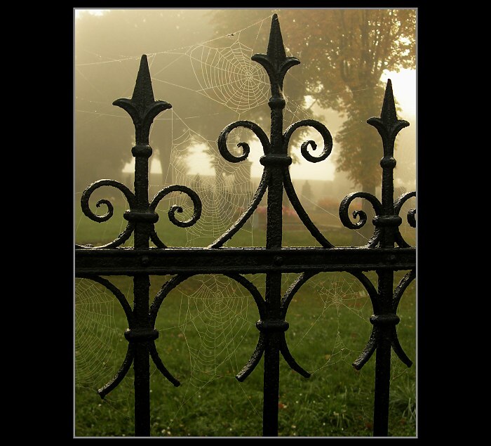 Ornamenty