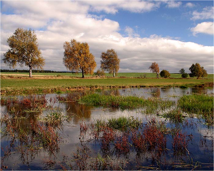 Vysočina