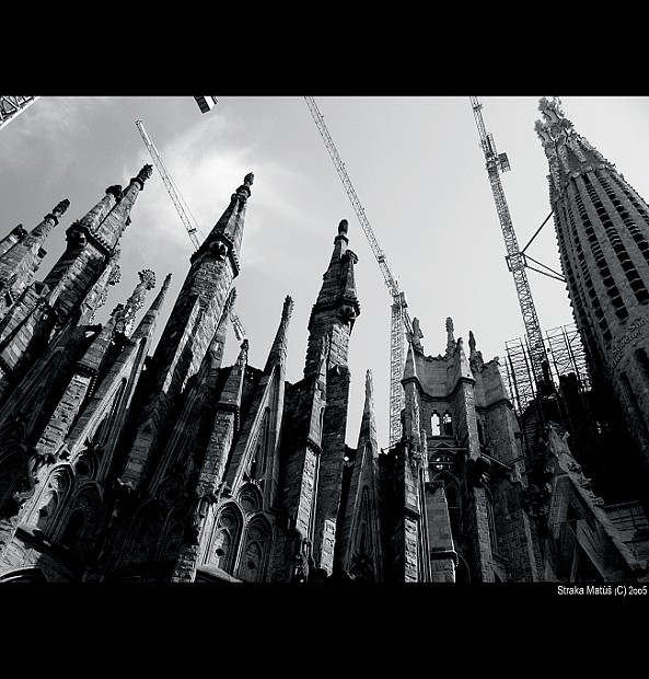 La Sagrada Familia II.