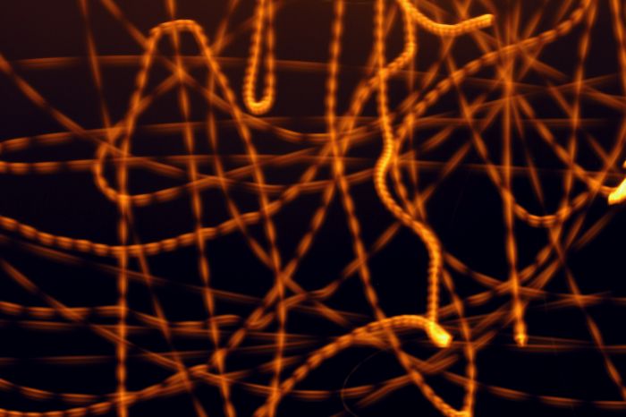 Nocni hratky svetel II.