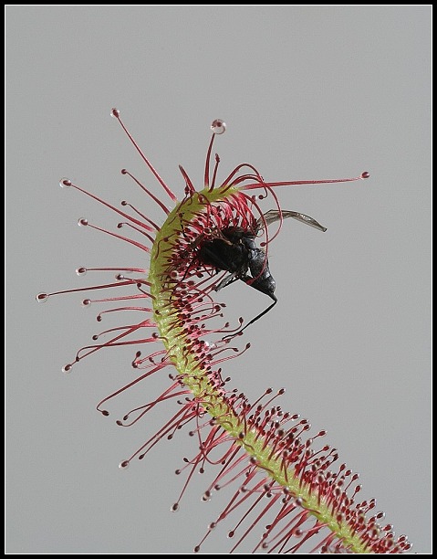 Kdo si počká, ten se dočká.