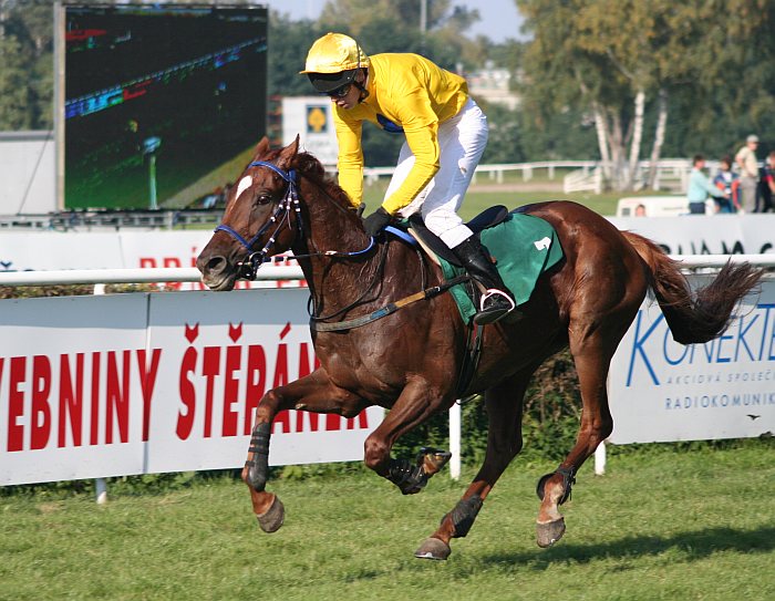 z Velké pardubické