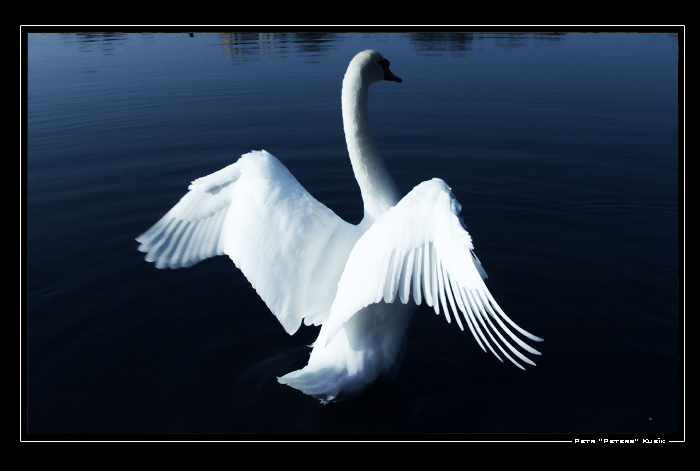 Já jsem tu pánem...