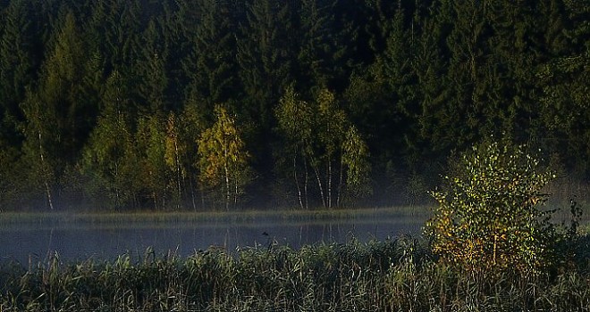 ráno
