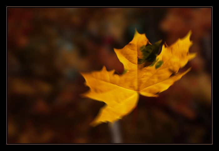 padá listí.. padá..